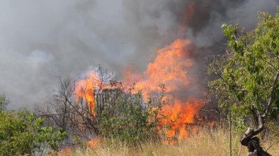 6 екипа огнеборци гасят пламъци край Сопот