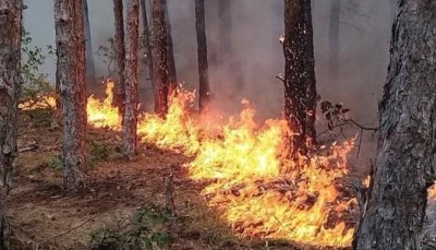 Пожар избухна в Хисаря, търсят се доброволци