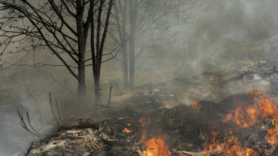 Пътят Габрово-Трявна е затворен заради голям пожар