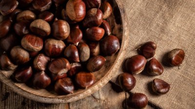   Кестените &ndash; вкусната есенна ядка с мощни лечебни свойства