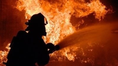 Пожар изпепели свинеферма край Дупница &ndash; един ранен и 16 изгорели животни