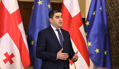 Шефът на грузинския парламент: Украйна се опитва да ни вкара във война с Русия