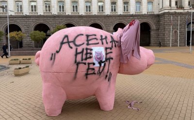ФАЛШИВА НОВИНА ИЛИ ГРАМАТИЧЕСКА ГРЕШКА? Депутатът от &ldquo;ДПС - Ново начало&rdquo; Станислав Анастасов написа върху розовото прасе пред Президентството шокиращ текст (ВИДЕО)