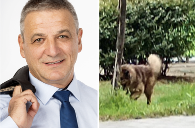 Ето го кмета, който с безхаберието си убива домашни любимци, докато тежки мутри го пазят от народната любов