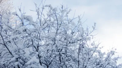 Ето какво ще бъде времето днес