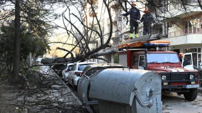 Бурният вятър причини сериозни щети в София