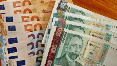   1500 сигнала за проблеми с еврото, но нарушения почти не са открити