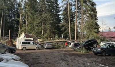 Сняг липсва на Боровец: Какво следва след предупреждението на BG-Alert? (СНИМКИ)