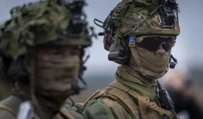 Норвегия ще последва примера на Германия ще изтегли военния си &ldquo;контингент&rdquo; от Гренландия