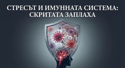Стресът: Как срива имунитета и активира скрити вируси