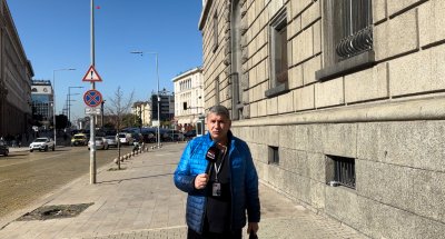 MEDIAMALL сигнализира институциите за множество измрели гълъби около сградата на парламента