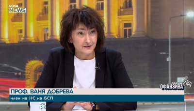Проф. Ваня Добрева: Сега трябва да работим за единство, защото България има нужда от лява партия