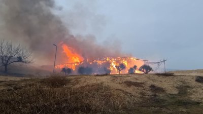 Пожар в Слънчев бряг: Пламъците обгърнаха заведение на плажа (СНИМКИ+ВИДЕО)