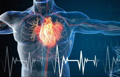 Експерти определиха 6 рискови фактора, които могат да доведат до инфаркт при младежите