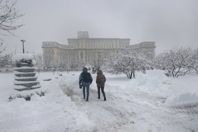 Бурите оставиха хиляди без ток в Румъния: Паднали стълбове и блокирани пътища