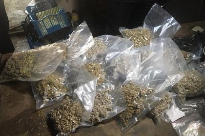 Български шофьор беше арестуван в Гърция с 500 кг канабис