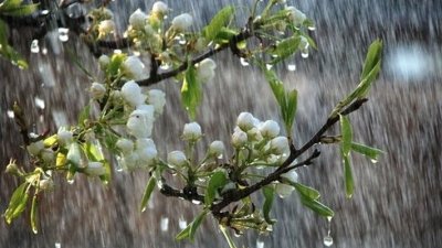 Времето днес: Облачно, но топло