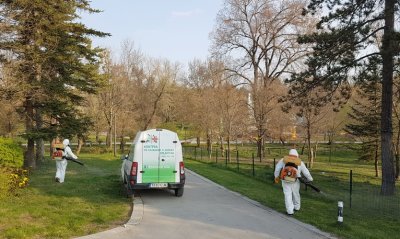 Спешна дезинсекция започва в страната за летния сезон