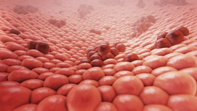 България създава нова национална база за раковите заболявания с над 120 медицински показателя