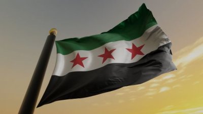 Сирийското правителство потвърди ареста на германска журналистка