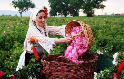 Занаяти, вино и музика: Празникът на розата в Казанлък продължава с богата програма