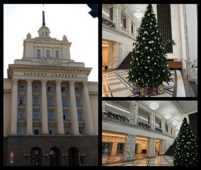 Коледна украса за хиляди левове си спретнаха депутатите в парламента (СНИМКИ)
