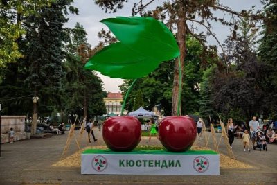 За Празника на черешата Кюстендил пуска туристи в черешовите градини