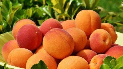 Кайсиите &ndash; вкусният летен плод с множество ползи за здравето