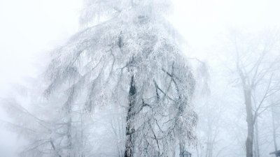 Сняг посред лято изненада Румъния (СНИМКИ)