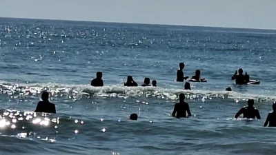 Опасната бактерия &bdquo;човекоядец&ldquo; се среща в Черно море: Как да се предпазим от Вибрио вълнификус