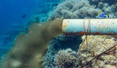 Шок на плажа на Свети Влас: Фекални води се изляха в морето (СНИМКИ)