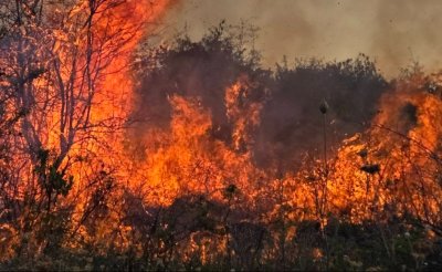 Големият пожар в Пловдивско се разгоря отново (СНИМКИ)