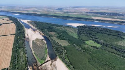 Дунав, Сава и Тиса с рекордно ниски нива, застрашено е корабоплаването