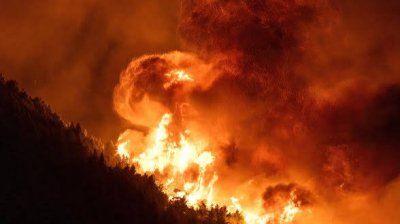 Огнен ад в Белгия: Хиляди хектари са обхванати от пожара