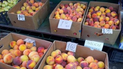 Протест на производители в Сливен: Изкупните цени са ниски, продукцията отива на боклука