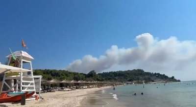 (ВИДЕО) Огромен пожар бушува на първия ръкав на Халкидики