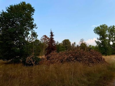 Столична община започва възстановяването на парк "Врана"