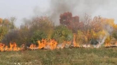 2000 декара обхвана големият пожар в Сливенско
