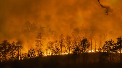 ЕС изпраща помощ на Сърбия за борба с пожарите