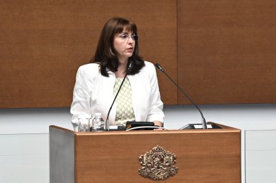 Наталия Ефремова критикува институциите за случая с пребитото от баща си 5-годишно дете