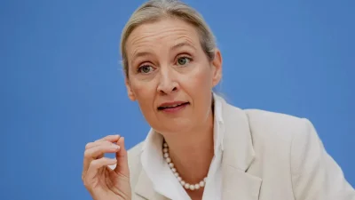 Алис Вайдел поиска връщане на украинските бежанци и компенсации от Киев