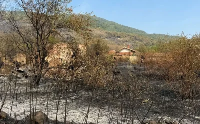 Потушен е огънят във всички участъци на пожара край село Димовци