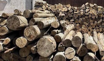 22 000 души без доходи ще получат наведнъж помощта за отопление с дърва