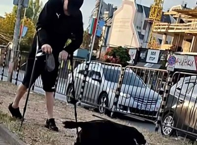 (ВИДЕО) Малък жест с голямо послание: Мъж с патерици даде урок по отговорност в столичния квартал &bdquo;Надежда&ldquo;