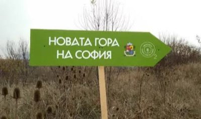 Столичната община пуска временна автобусна линия до залесителната кампания край Банкя