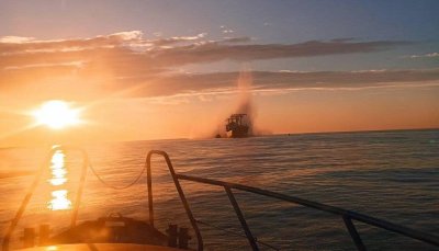 Търговски кораб, плаващ под флага на Панама, се удари в мина в Черно море