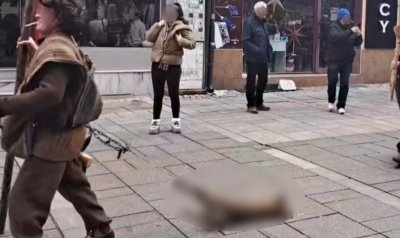 ИЗРОДЩИНА: Олигофрен-сурвакар влачи лисица по време на кукерско шоу в Разлог
