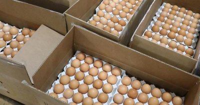 ИЗМАМА! Продават ни украински яйца и месо като румънска стока
