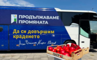РАЗСЛЕДВАНЕ НА MEDIAMALL: Държава с отпаднала необходимост (Документ)