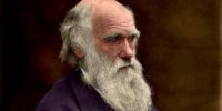 Международен ден на Дарвин - Ден на еволюцията